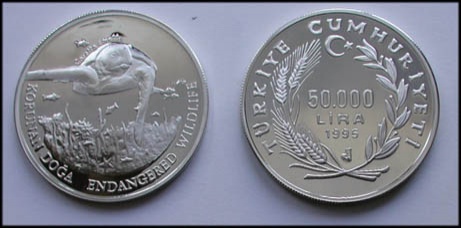 Caretta Caretta Gümüş Hatıra Parası