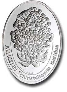 Allıgelin (Tchihatchewia Isatidea) Gümüş Hatıra Parası 