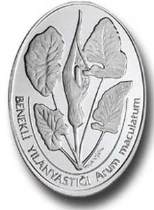 Benekli Yılanyastığı (Arum Maculatum) Gümüş Hatıra Parası 